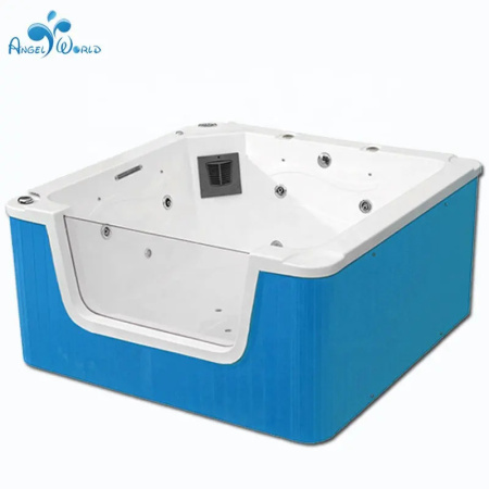 Детский СПА бассейн Angel World DB10